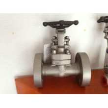 API Class1500 Dn20 Forged Gate Valve (Z41Y-1500LB-DN20)